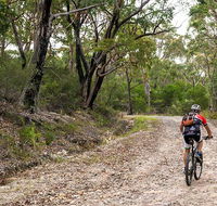 Cawleys Road trail - Accommodation Ballina
