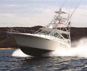 1300 Big Fish - Accommodation Ballina 0