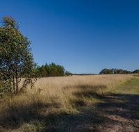 Scheyville horse riding trails - Accommodation Ballina