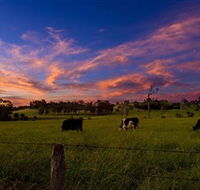 Made in Macarthur Food and Wine Tours - Accommodation Ballina