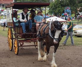 The Australiana Pioneer Village Ltd - Accommodation Ballina 2