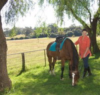 Sugarloaf Horse Centre - Accommodation Ballina