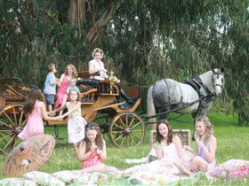 Classic Carriage Drives - Accommodation Ballina 1