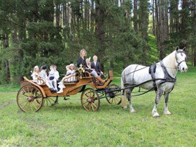 Classic Carriage Drives - Accommodation Ballina 0