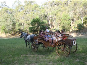 Classic Carriage Drives - Accommodation Ballina 3