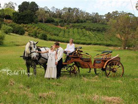 Classic Carriage Drives - Accommodation Ballina 2