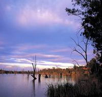 Loch Luna Game Reserve and Moorook Game Reserve - Accommodation Ballina