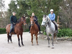 Academy Of Dressage - Accommodation Ballina 0