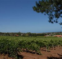 Grancari - Accommodation Ballina