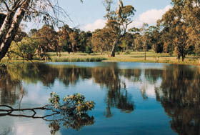 Echunga Golf Club Incorporated - Accommodation Ballina 1