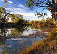 Murray River National Park - Accommodation Ballina