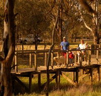 Loxton's Drives Walks and Trails - Accommodation Ballina
