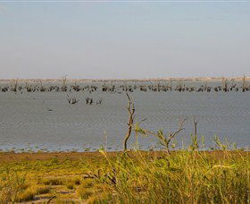 Lake Victoria - Accommodation Ballina 0