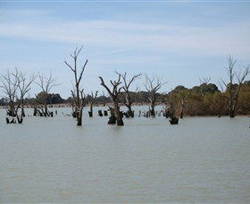Lake Victoria - Accommodation Ballina 3