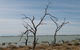 Lake Victoria - thumb 6