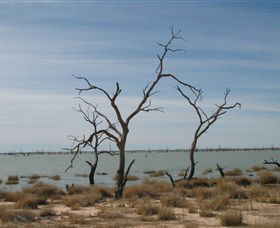 Lake Victoria - Accommodation Ballina 6
