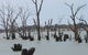 Lake Victoria - thumb 4