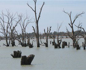 Lake Victoria - Accommodation Ballina 4