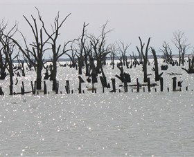 Lake Victoria - Accommodation Ballina 5