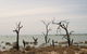 Lake Victoria - thumb 7