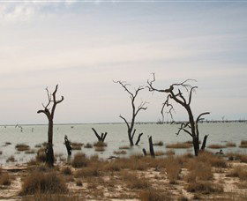Lake Victoria - Accommodation Ballina 7