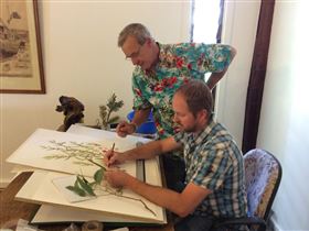 The Stable Studio At The Mill - Accommodation Ballina 3