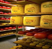 Alexandrina Cheese Company - Accommodation Ballina