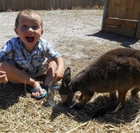 Animal Farm Goolwa