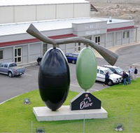 The Big Olive - Accommodation Ballina