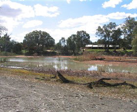 Thegoa Lagoon And Reserve - Accommodation Ballina 2