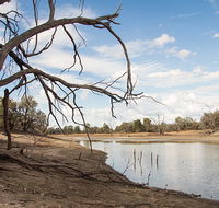 Toorale National Park - Accommodation Ballina