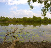 Yurmikmik Walks - Accommodation Ballina