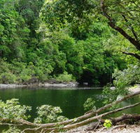 Broadwater Abergowrie State Forest - Accommodation Ballina