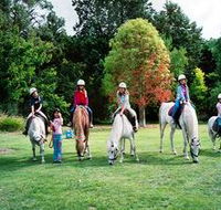 Limestone Coast Horseriding - Accommodation Ballina