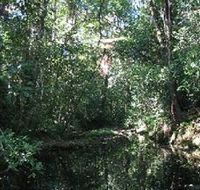 Wabunga Wayemba Charmillan Creek walking track