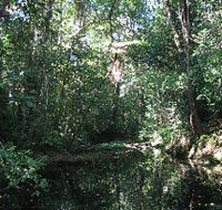 Misty Mountains Wilderness Walking Tracks