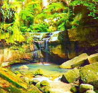 Carnarvon Gorge Carnarvon National Park - Accommodation Ballina