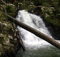Souita Falls - Accommodation Ballina