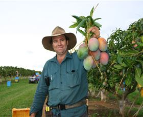 Golden Drop Winery - Accommodation Ballina 1