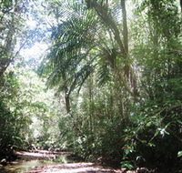Mount Lewis National Park - Accommodation Ballina