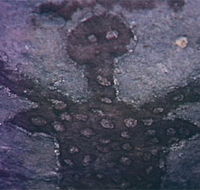 Quinkan Reserves Ancient Rock Art - Accommodation Ballina