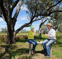 Restdown Wines and Walking Trail - Accommodation Ballina