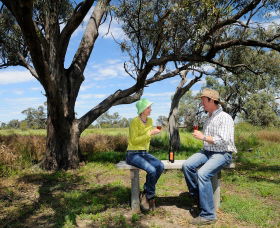 Restdown Wines And Walking Trail - Accommodation Ballina 0