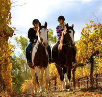 Billabong Ranch - Accommodation Ballina