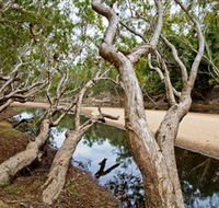 Oyala Thumotang National Park CYPAL - Accommodation Ballina