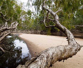 Oyala Thumotang National Park (CYPAL) - Accommodation Ballina 3