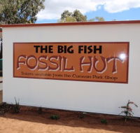 Big Fish Fossil Hut at Peak Hill - Accommodation Ballina