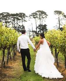 Quoin Hill Vineyard - Accommodation Ballina 2