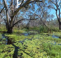 Macquarie Valley Trails - Accommodation Ballina