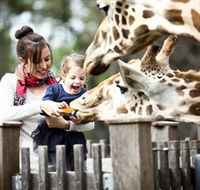 Taronga Western Plains Zoo Dubbo - Accommodation Ballina